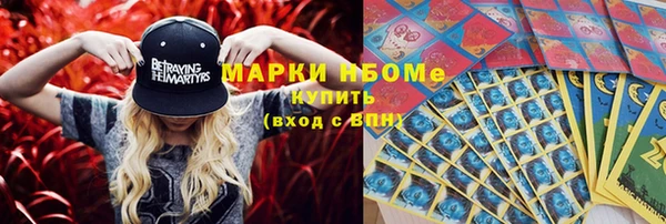 гидра Абаза