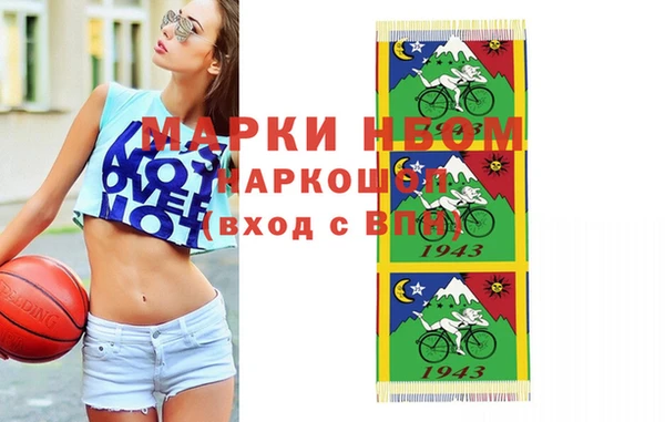 гидра Абаза