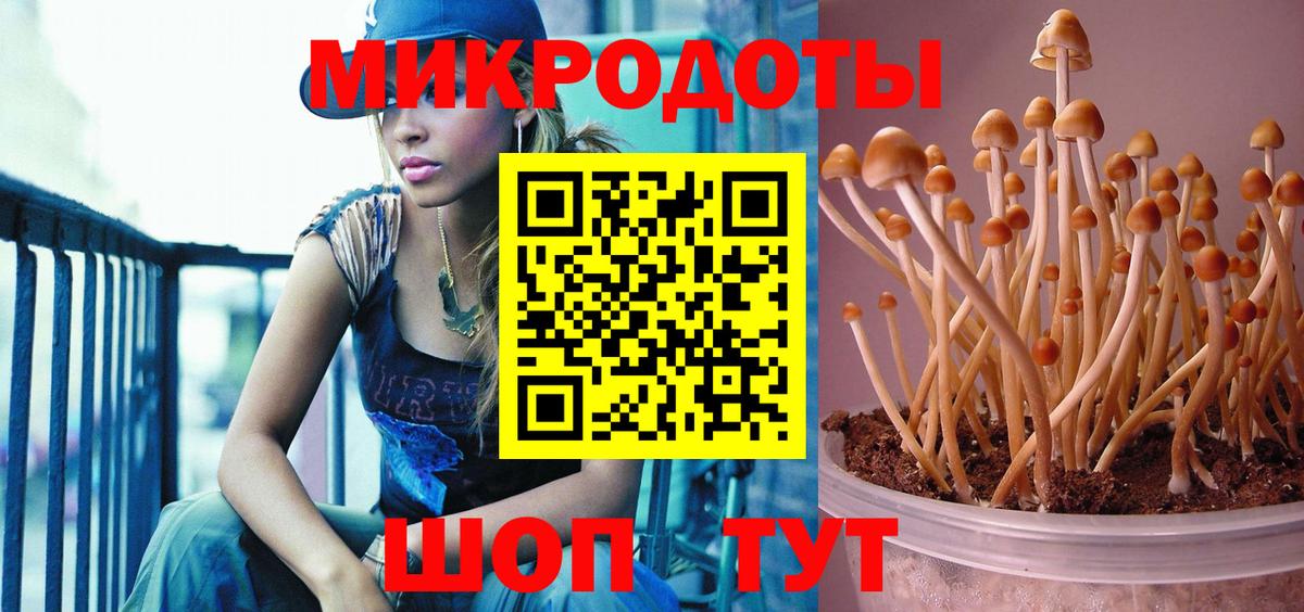 Псилоцибиновые грибы ЛСД  Псилоцибиновые грибы Cubensis  Дивногорск  Вход с VPN 
